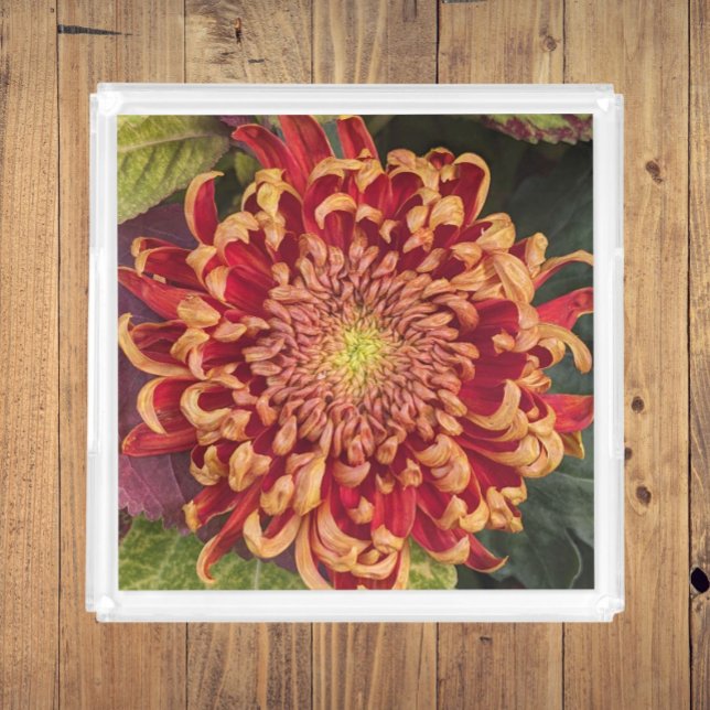 Red and Yellow Chrysanthemum Floral Acrylic Tray (In Situ)
