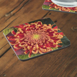 Red and Yellow Chrysanthemum Floral Beverage Coaster