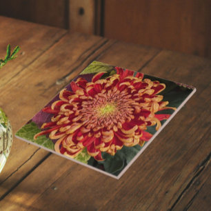 Red and Yellow Chrysanthemum Floral Ceramic Tile