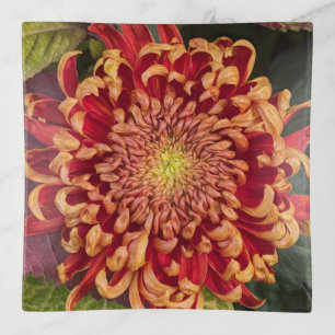 Red and Yellow Chrysanthemum Floral Trinket Tray