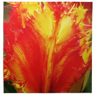 Red And Yellow Close-up Curly Tulip Cloth Napkin