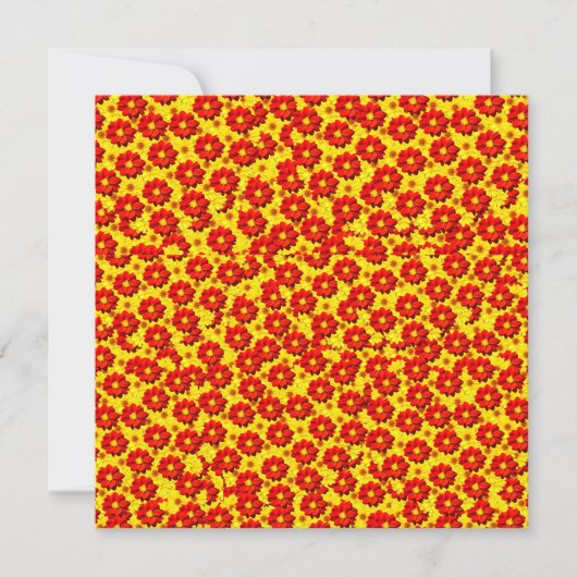 Red and yellow dahlia flowers  (Front)