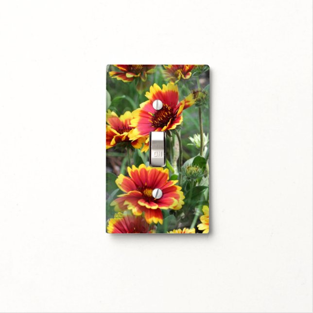 Red And Yellow Daisy Flowers Light Switch Cover (In Situ)