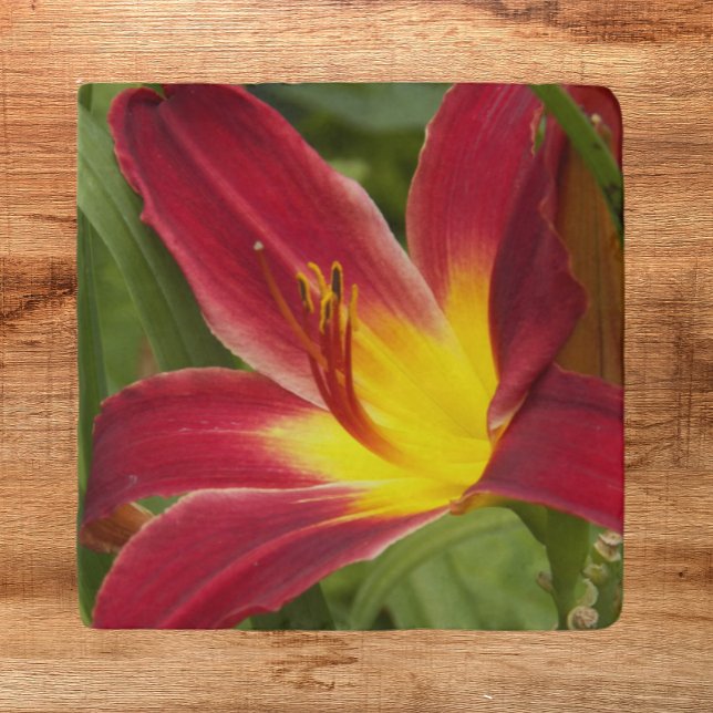 Red and Yellow Daylily Bloom Floral Trivet (In Situ)