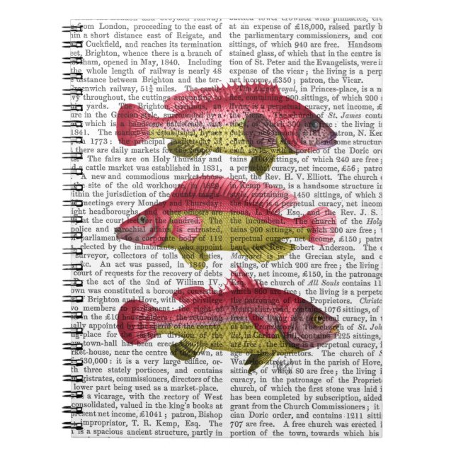 Red and Yellow Fantasy Fish Trio Notebook (Front)