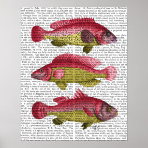 Red and Yellow Fantasy Fish Trio Poster