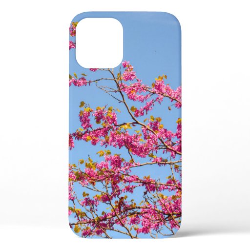 RED AND YELLOW FLOWER UNDER BLUE SKY iPhone 12 CASE