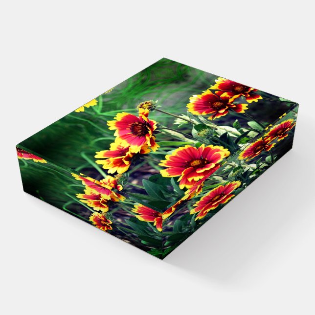 Red And Yellow Gaillardia Blanket Flower Daisy Paperweight (Angled)