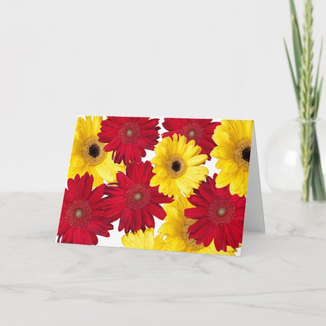 Red and Yellow Gerber Daisy Photos Personalized Card (Front)