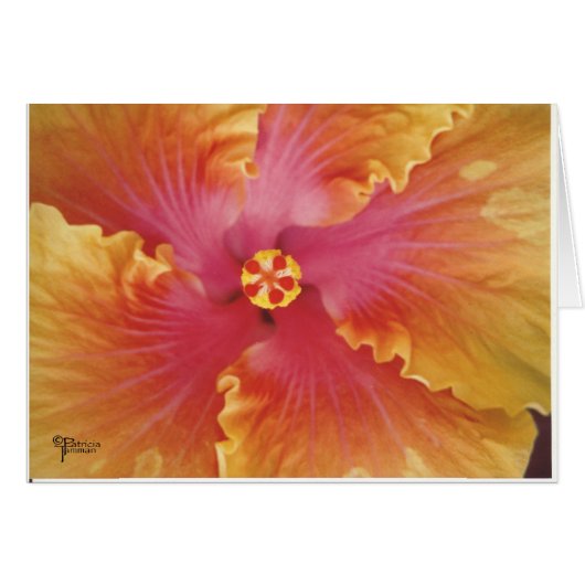 Red and Yellow Hibiscus Cards (Front Horizontal)