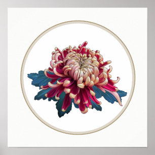 red and yellow Japanese chrysanthemum white circle Poster