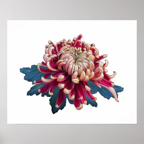 red and yellow Japanese chrysanthemum white Poster