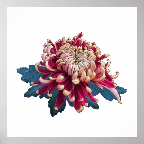 red and yellow Japanese chrysanthemum white Poster