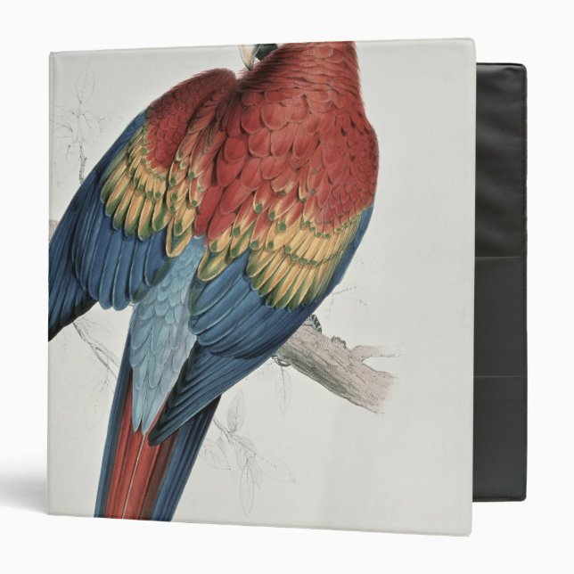 Red and Yellow Macaw Binder (Front/Inside)
