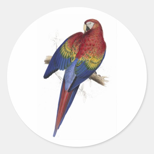 Red and Yellow Maccaw by Edward Lear Classic Round Sticker