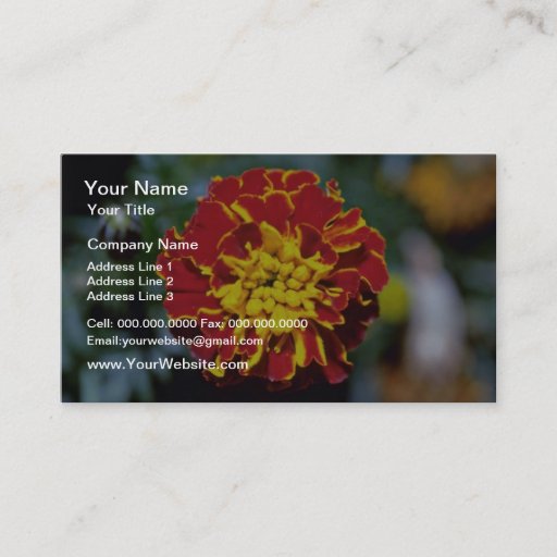 Customizable Red And Yellow Marigold flowers Business Card Templates