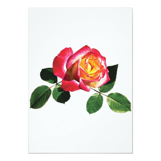 Red and Yellow Rose Card