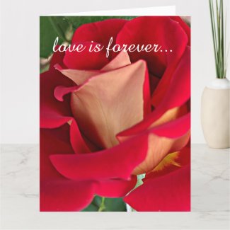 Red and Yellow Rose Personalized Marriage Proposal