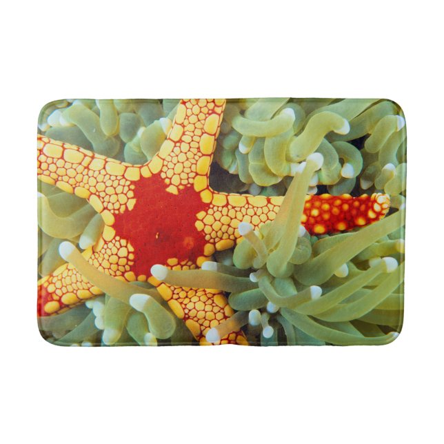 Red And Yellow Sea Star Bath Mat (Front)