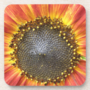 Red and Yellow Sunflower Cork Coaster