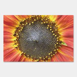 Red and Yellow Sunflower Decorative Yard Sign