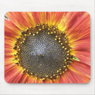 Red and Yellow Sunflower Mousepad