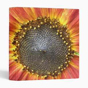 Red and Yellow Sunflower Photograph Album Binder