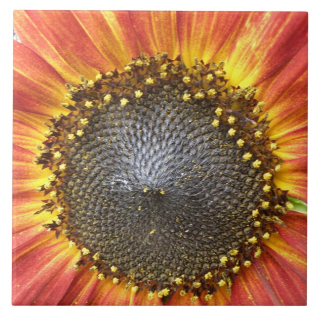 Red and Yellow Sunflower Tile (Front)