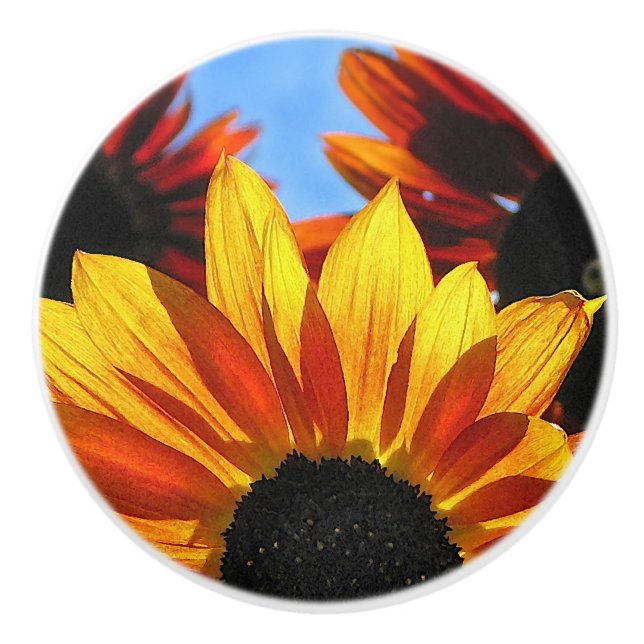 Red and Yellow Sunflowers Ceramic Knob (Front)