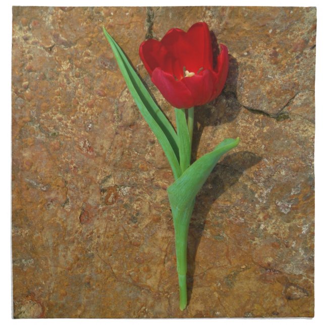 Red and Yellow Tulip Cloth Napkin (Front)