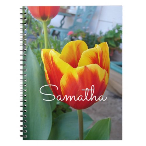 Red and Yellow Tulip floral Garden Photo Notebook