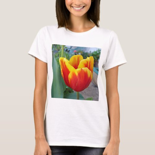 Red and Yellow Tulip floral Garden Photo T_Shirt