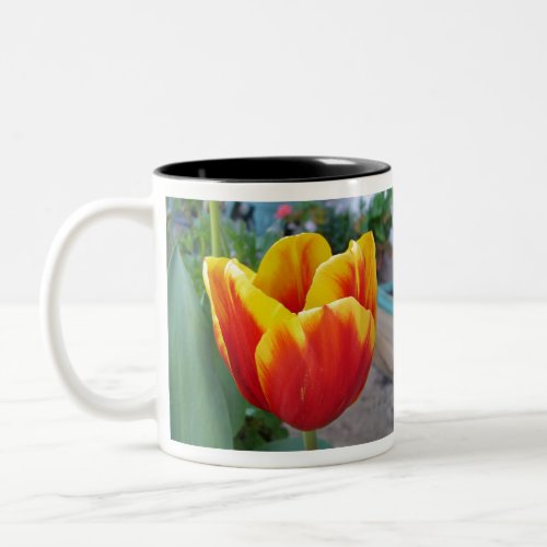 Red and Yellow Tulip floral Garden Photo Two_Tone Coffee Mug