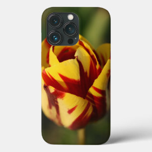 Red and Yellow Tulip Flower iPhone 13 Pro Case