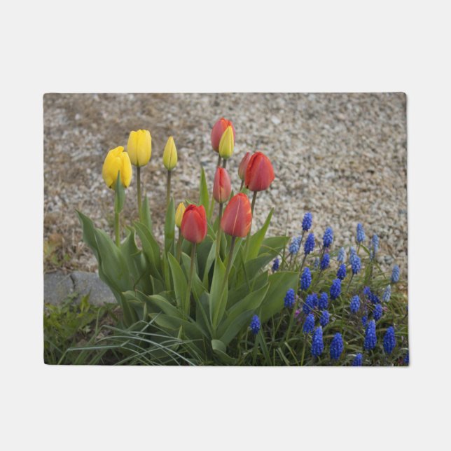 Red And Yellow Tulips Doormat (Front)