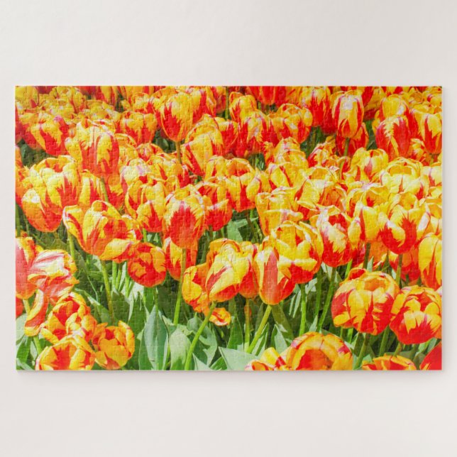 Red and yellow tulips jigsaw puzzle (Horizontal)