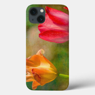 Red and yellow tulips on textured background iPhone 13 case