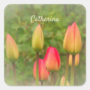 Red and Yellow Tulips Personalized Photo Square Sticker