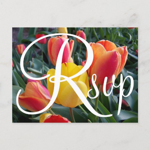 Red and Yellow Tulips Photo Contemporary RSVP Invitation Postcard