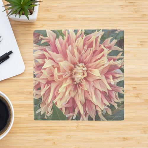 Red and Yellow Variegated Dahlia Bloom Floral Stone Coaster