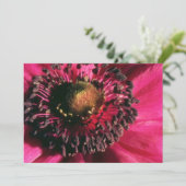 Red Anemone flowers (Standing Front)