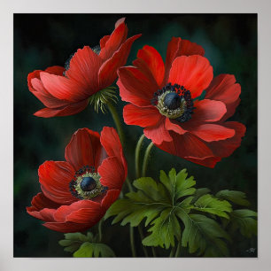 Red Anemone Flowers Art Print Poster