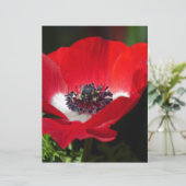 Red Anemone.JPG (Standing Front)
