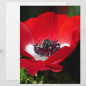 Red Anemone.JPG (Front/Back)