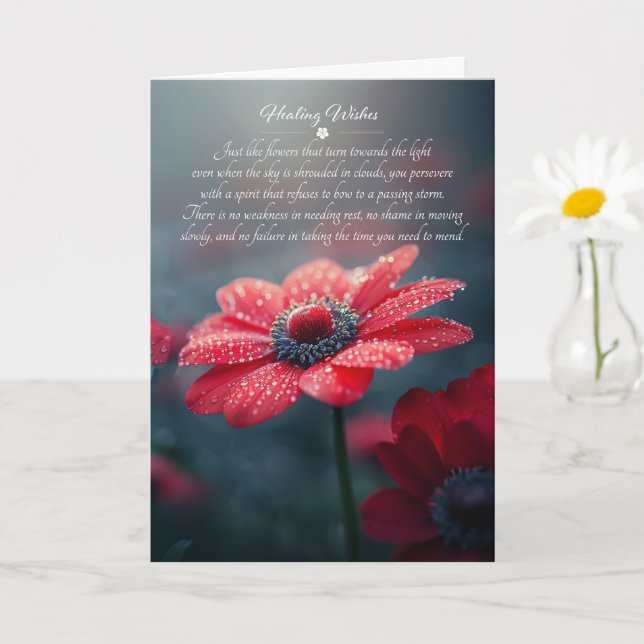 Red Anemones Sentimental Get Well Card (Small Plant)