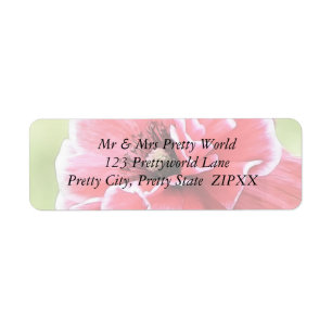 Red Angel's Choir Poppy Label