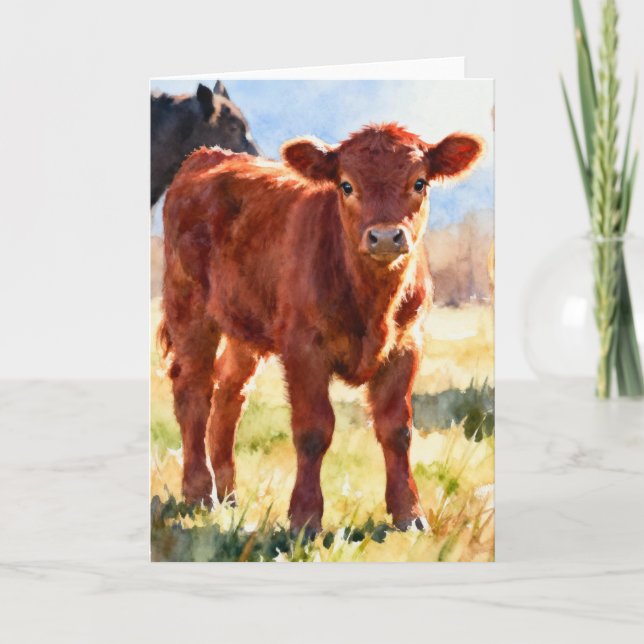  Red Angus Calf Study C In Watercolor Card (Front)