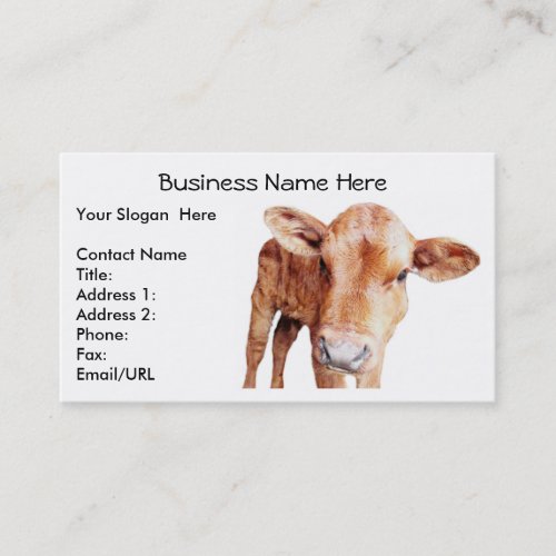 Red Angus Cow Business Card Template