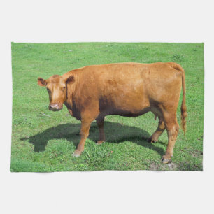 Red Angus Kitchen Towel
