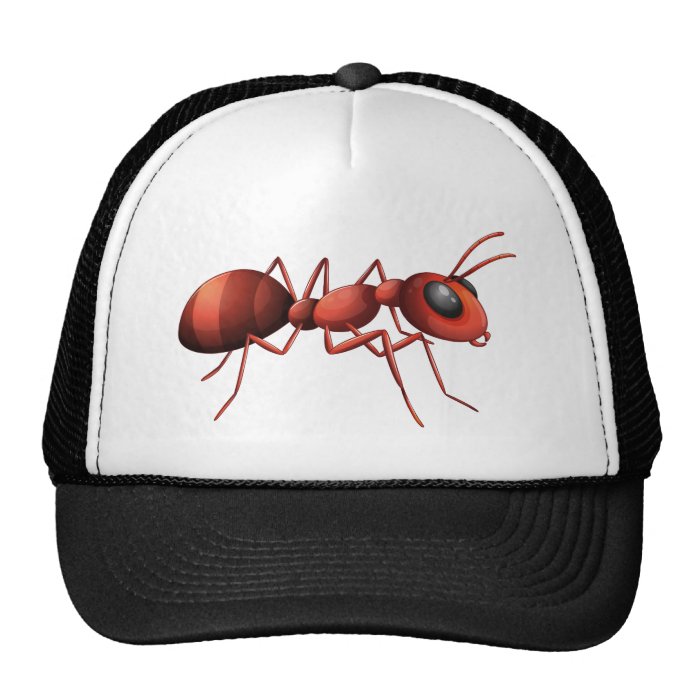 Red ant design hat